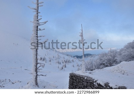 Winter landscape with frozen trees at Zavizan mountain hut, Velebit mountain