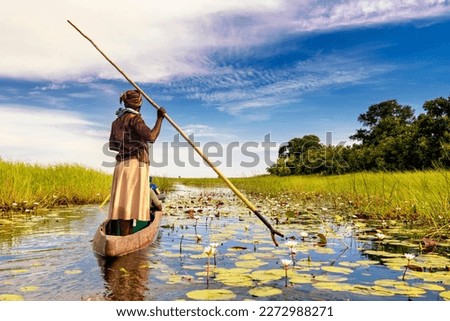 In the dugout canoe through the Okavango Delta, Botswana Royalty-Free Stock Photo #2272988271