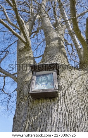 Picture of Jesus  Christ on the tree by the road