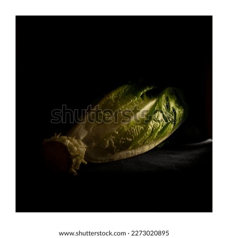 Captivating image of lettuce with sunlight, perfect for promoting healthy eating and wellness, ideal for health, nutrition, and lettuce-related projects.