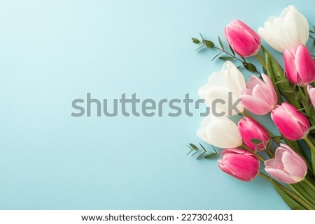 Mother's Day concept. Top view photo of bouquet of white and pink tulips on isolated pastel blue background with copyspace Royalty-Free Stock Photo #2273024031