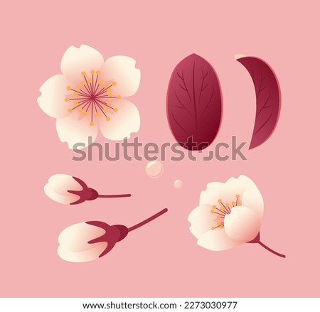 Set of sakura flowers, buds and leaves. Botanical illustration in realistic style, cherry blossom. Hanami Festival. For stickers, posters, postcards, design elements Royalty-Free Stock Photo #2273030977