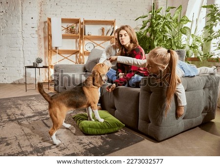 Portrait of beautiful young man and woman, playing with child and don at home on sofa. Lovely family time. Concept of relationship, family, parenthood, childhood, animal life