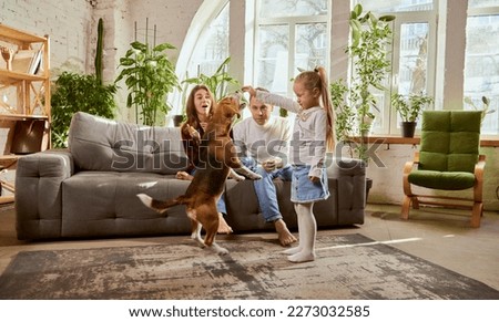 Playful smart dog following commands. Little girl playing with beagle on living room in sunny day. Parents playing with child and dog. Relationship, family, parenthood, childhood, animal life concept