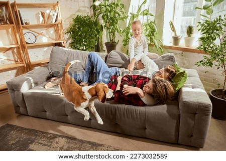 Happy, cute, lovely family with kid spending time together on warm sunny day at home. People playing with dog, beagle in living room at home. Relationship, family, parenthood, childhood, animal life