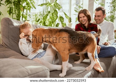 Woman, man and girl, child playing with cute dog, beagle in living room at home. Family spending time together. Concept of relationship, family, parenthood, childhood, domestic animal life
