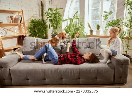 Beautiful mother and little daughter playing with their dog, beagle on sofa in living room. Spending time at home. Concept of relationship, family, parenthood, childhood, animal life