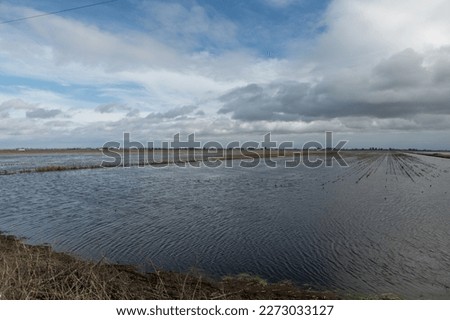 Flooding in the farmlands of California in this year winter storms