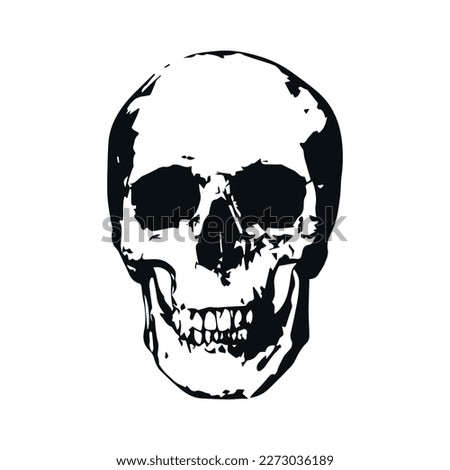 Human skull on white background, vector illustration