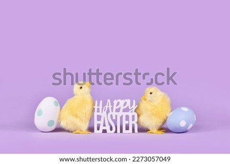Easter eggs, chicken and text 'Happy Easter' on violet background with copy space