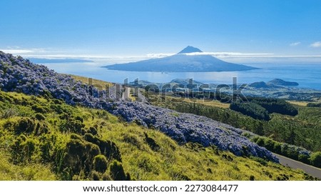 The view of Pico (neighboring island) from the volcano crater on Faial is magnificent - Acores, Portugal Royalty-Free Stock Photo #2273084477