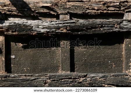 wood rot texture background in day light