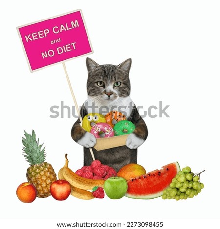 A colored cat with a box of donuts is near a heap of fruit. Keep calm and no diet. White background. Isolated.
