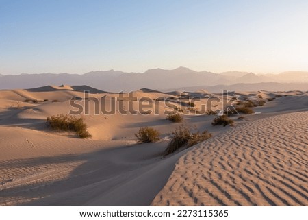 Scenic view on natural ripple sand pattern during sunrise at Mesquite Flat Sand Dunes, Death Valley National Park, California, USA. Morning walk in Mojave desert with Amargosa Mountain Range in back Royalty-Free Stock Photo #2273115365