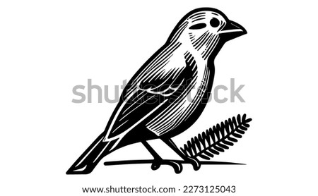 Crossbill bird vector black line illustration isolated white. Sketch art