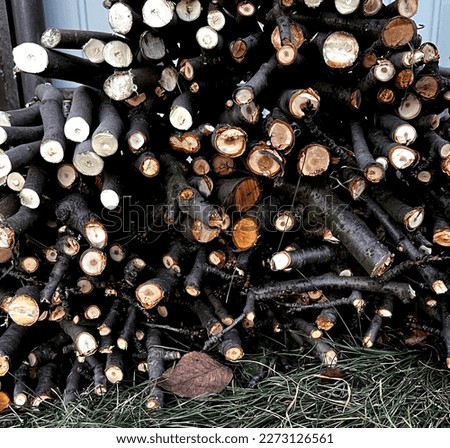 Photo of freshly cut firewood. High quality.