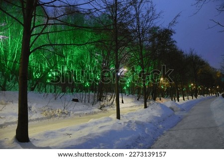 Winter forest at night, color photo