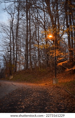 Street lamp illuminating a road at Cheat Lake, West Virginia