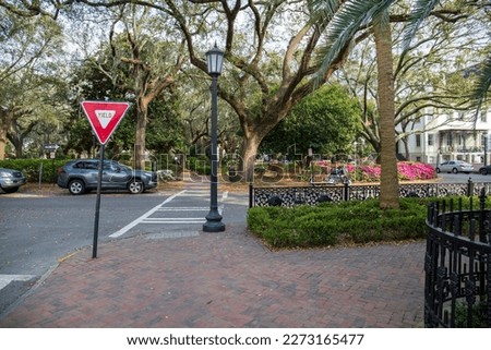 A gorgeous spring landscape with palm trees, red flowers, bare winter trees, lush green plants and blue sky with clouds and cars and motorcycles parked on the street in Savannah Georgia USA