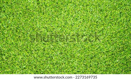 Green lawn for background.
Green grass background texture. top view.