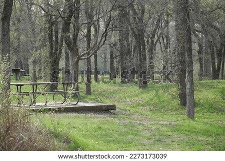Serene but creepy picture of Mckinney falls state park picnic area