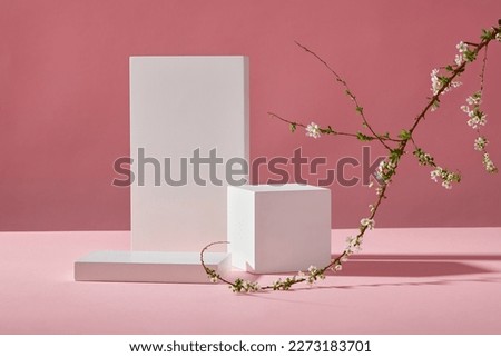 Abstract minimal scene - white empty podiums, two geometries and white flower branch on trendy pink background and flowers shadows. Space for display product. Front view.