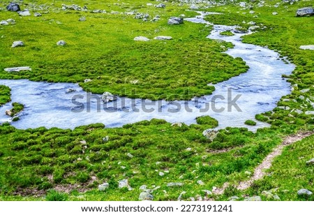 A winding stream in a green valley. River stream flowing. Cold creek landscape. River flow in green valley Royalty-Free Stock Photo #2273191241