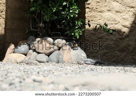 Small stones and green plants