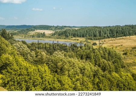 Green field.
Russian nature. 
Forest