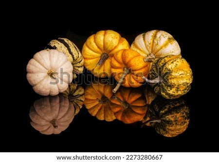 six pumpkins with their reflection on a black background. (It's a photo that differs from what has been accepted before, both in terms of quantity and design)