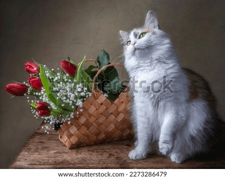 Pretty kitty and bouquet of red tulips