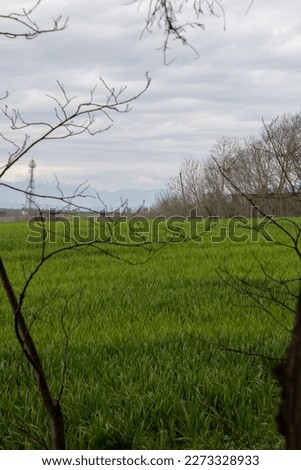 field photo from beautiful Giannitsa In greece