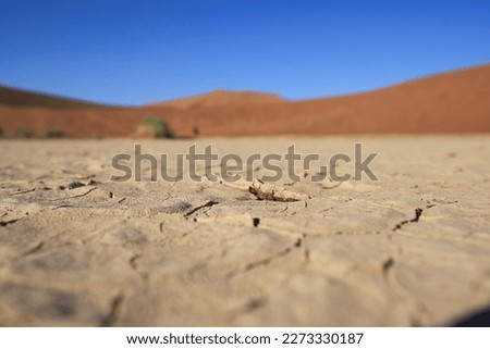 cracked crust of clay pan soil at dead vlei, red sand dunes and blue sky in background Royalty-Free Stock Photo #2273330187