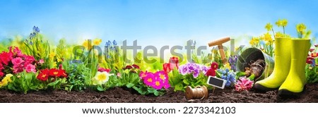 Spring flowers with the gardening tools in the garden in front of blue sky