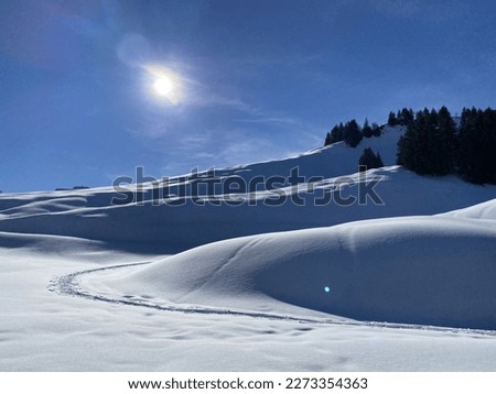 A magical play of light and shadow on a pure white snow cover in a mixed alpine forest, Schwägalp mountain pass - Canton of Appenzell Ausserrhoden, Switzerland (Schweiz)