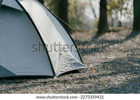 weekend camping in the forest