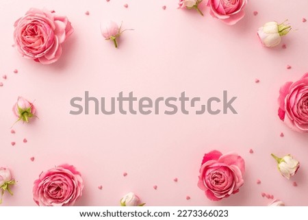 Women's Day celebration concept. Top view photo of spring flowers pink peony roses and sprinkles on isolated pastel pink background with copyspace in the middle