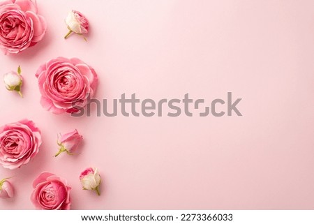 Saint Valentine's Day concept. Top view photo of pink peony roses on isolated pastel pink background with copyspace Royalty-Free Stock Photo #2273366033