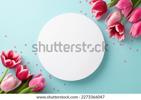 Mother's Day decorations concept. Top view photo of white circle pink tulips and heart shaped sprinkles on isolated pastel blue background with copyspace