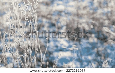 Dry stems and inflorescences of chamomile are covered with hoarfrost against the background of a snow-covered meadow. Long shadows at dawn. Vector. Royalty-Free Stock Photo #2273391099