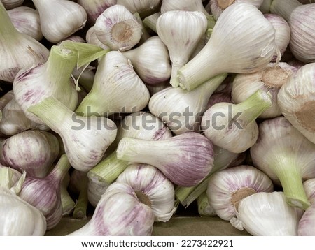 fresh garlic is lying in a pile for sale Royalty-Free Stock Photo #2273422921