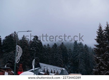 Winter landscape with Romanian mountains