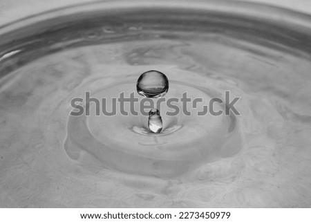 Water Drop In A Bowl