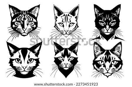 Set of cat heads with different calm expressions of the muzzle. Symbols for tattoo, emblem or logo, isolated on a white background.