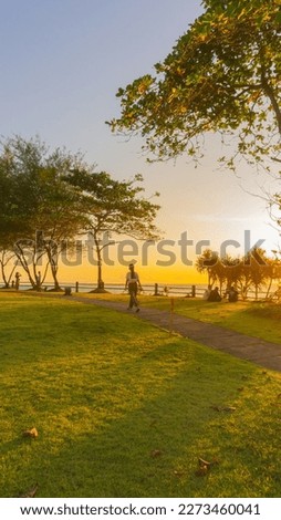 People walking on park to see a sunset