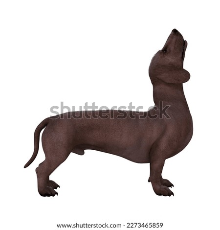 cute puppy dog dachshund 3d illustration