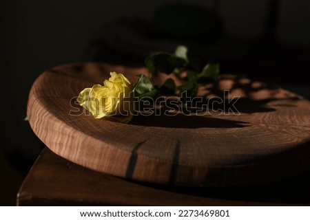 One yellow rose whose top is illuminated by the sun coming in through the window.Yellow rose on natural brown background.
