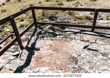 Rock drawing petroglyphs of ancient people of different animals deer on stones in the Altai mountains behind a fence.