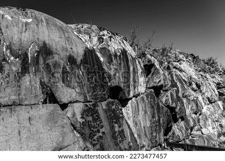 Rock drawing of ancient people animals deer strange people warriors on a stone in the Altai mountains in the afternoon in the sun. Black and white photo.