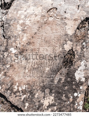 Petroglyphs rock drawings of ancient people of an unknown spaceship on stones in the Altai mountains in Siberia.